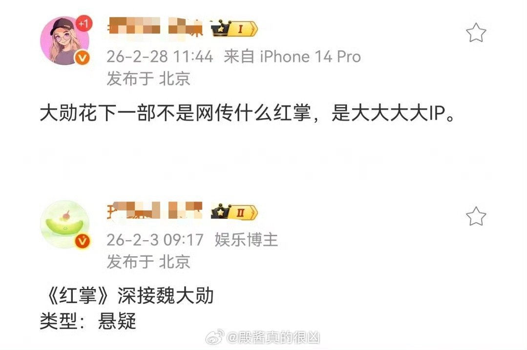 魏大勋下一部是大大大大大ip