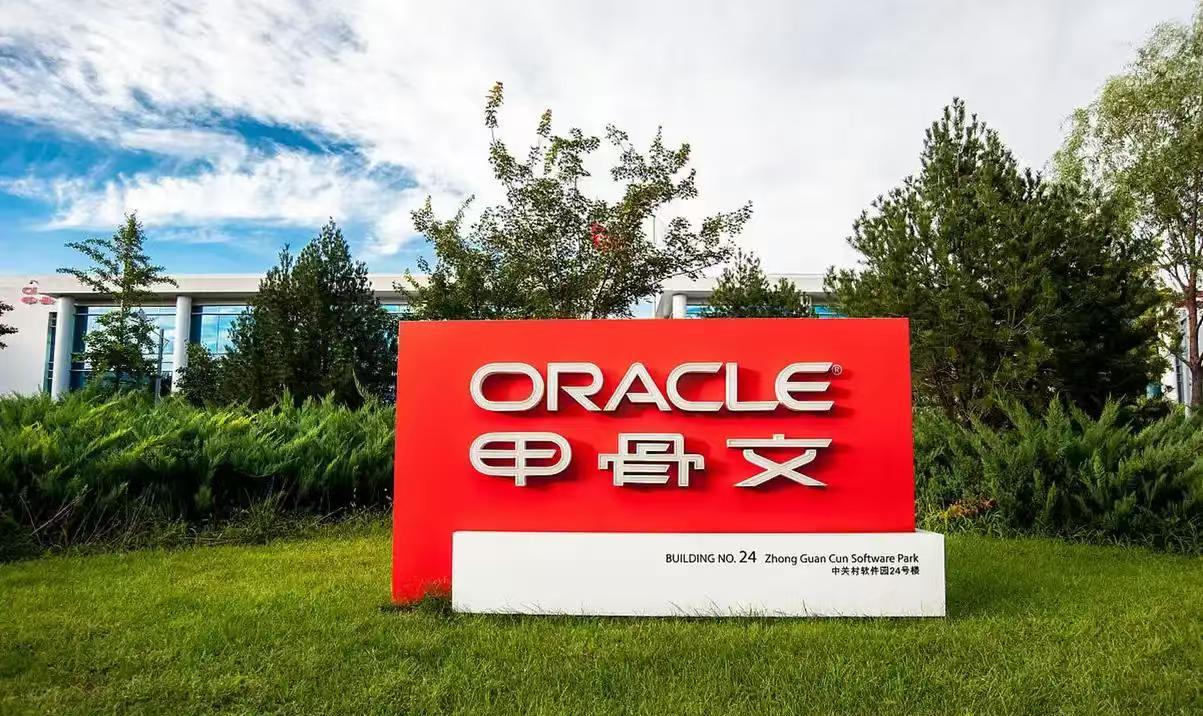强烈建议，把Oracle，直译为俄若壳或者沃瑞克，凭什么翻译成中华文明最古老文字