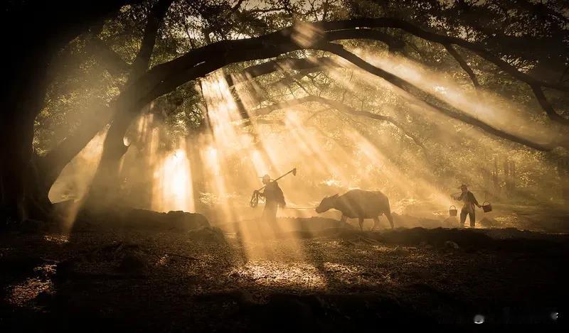 善良曾让我吃了不少亏。以前我总对人掏心掏肺，遇事也爱让步，结果被当成软柿子。有人