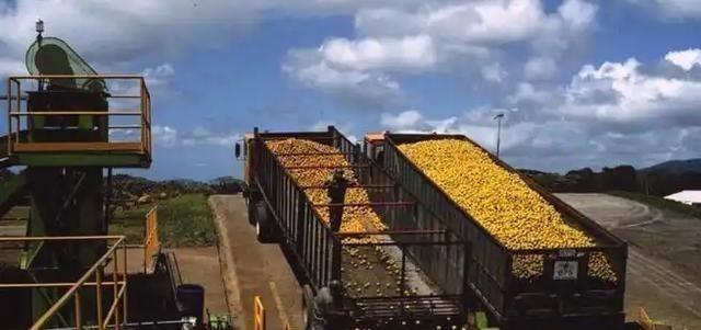 1997年，一果汁生产商将1.2万吨橘子皮，倒在了自然保护区，因此被起诉到了法院