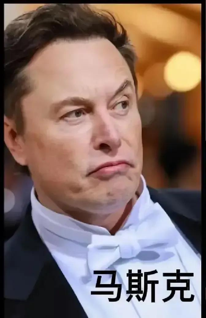 马斯克被曝给伴侣下死命令：孩子必须剖，还不准切包皮。消息一出，全网炸锅。我刷