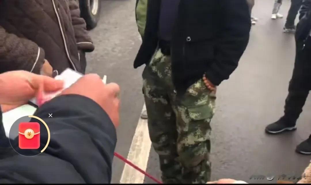 宠物被主人以300元的价格抛弃，狗狗伤心又难过，狂叫着，满地追着、奔跳着，可主人