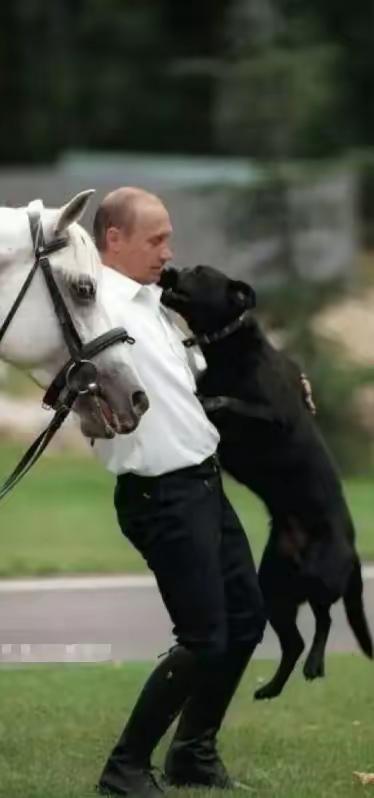 普京大帝厉害人真狠人近日，俄罗斯干了一件让所有人都没想到的；同时解决俄乌战争停