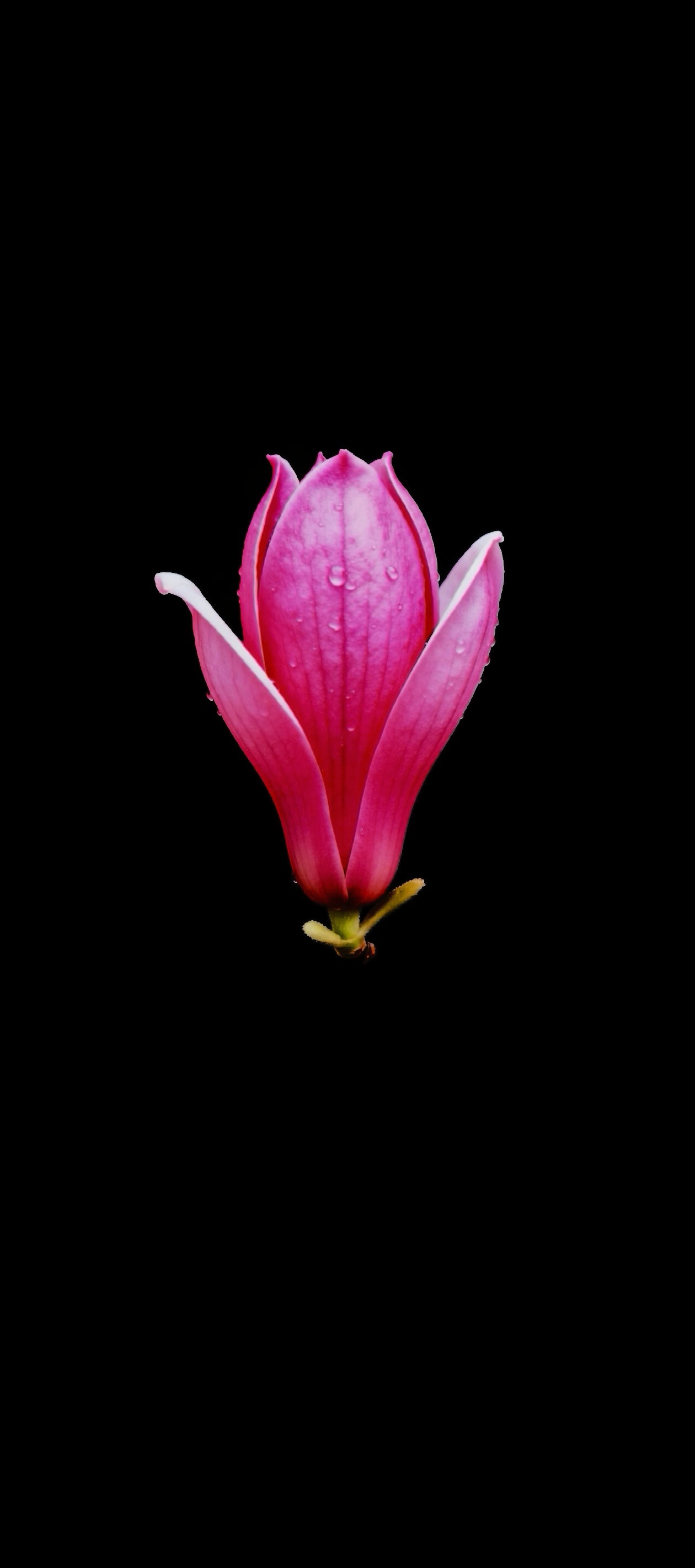 永远不要通过付出获得报酬，而是应该提高自己的价值，要用价值来吸引，没有实力的愤怒