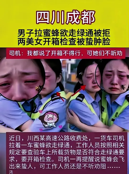 两女警检查蜂箱被蛰不知可敬还是可笑