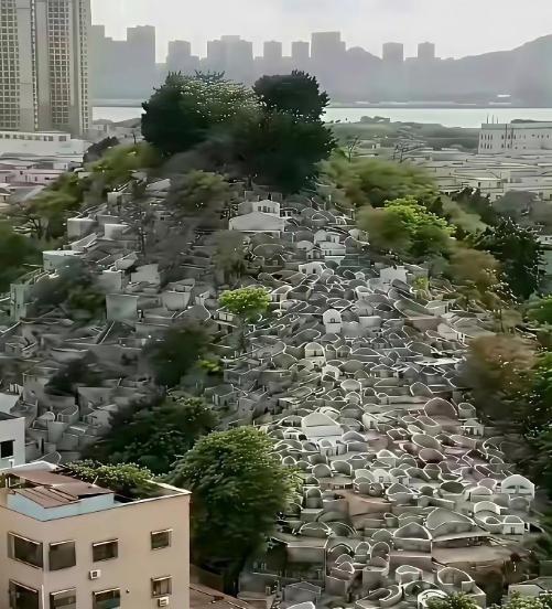 从有土葬开始中国死了几十亿人，耕地也没被塞满！占山头、卖墓穴是从火葬开始的，说白