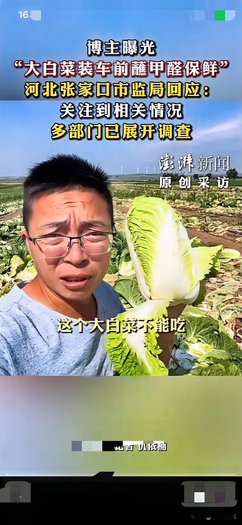 今天我闺女看新闻说有甲醛白菜，赶紧问我买了没有！我对闺女说我没有买！因为啥没