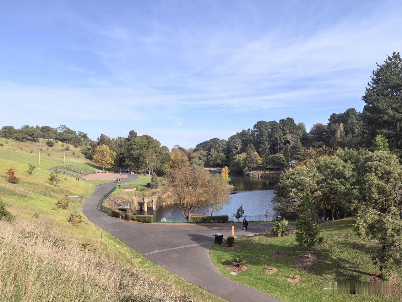 分享一张自然风景的照片威尔逊植物园。