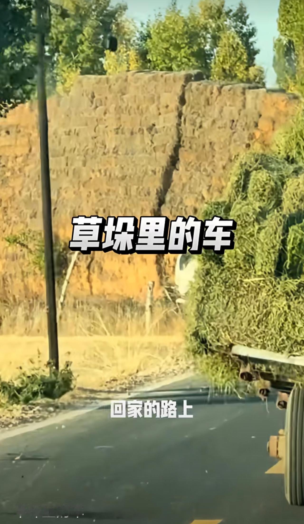 草垛里的车