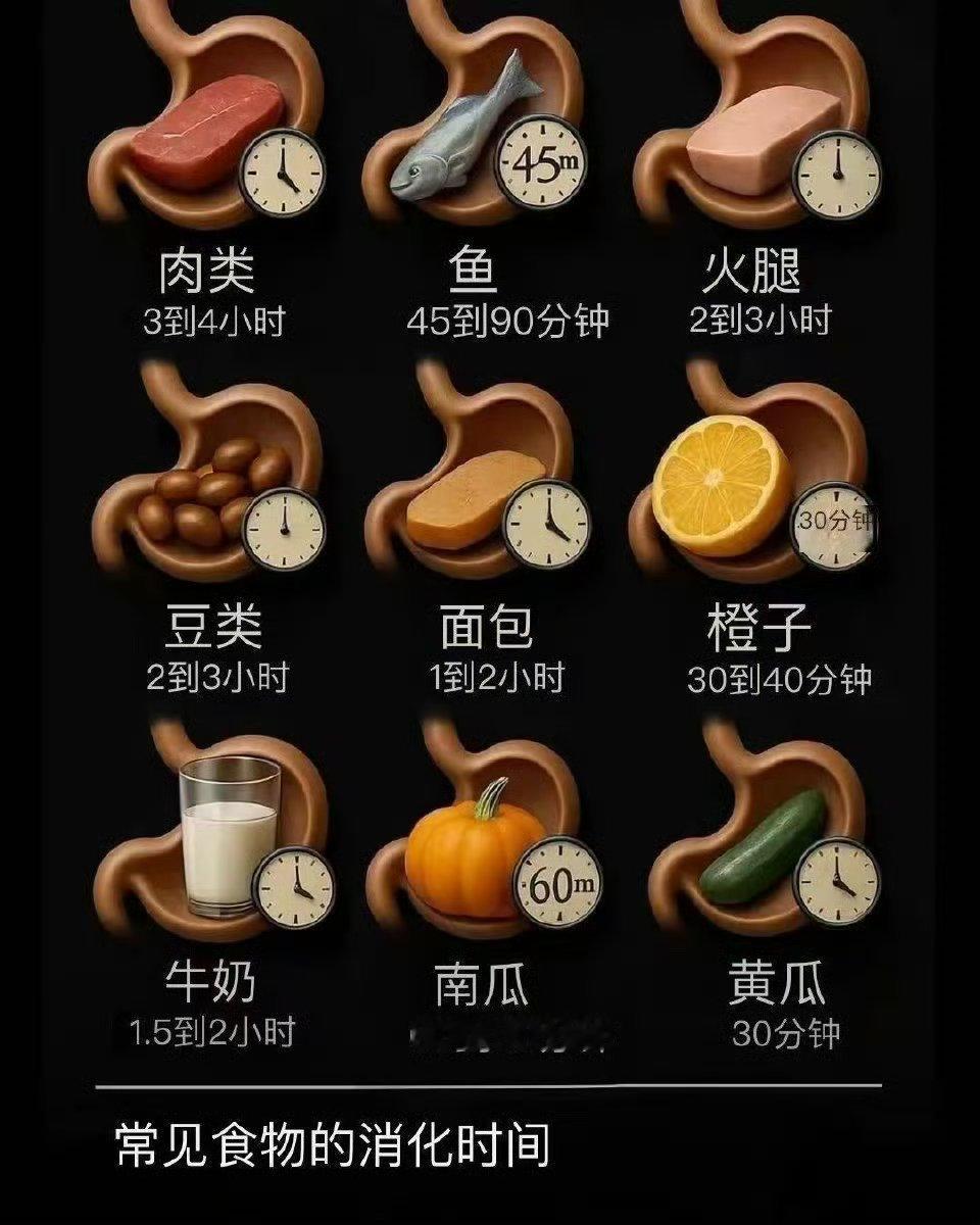 人类吃什么才能抗住饿了​​​