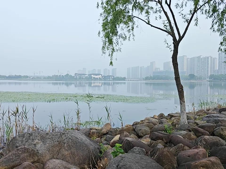 千万别“假养生”了！90%的人，一直在慢性毁身体说句大实话：你天天泡脚、