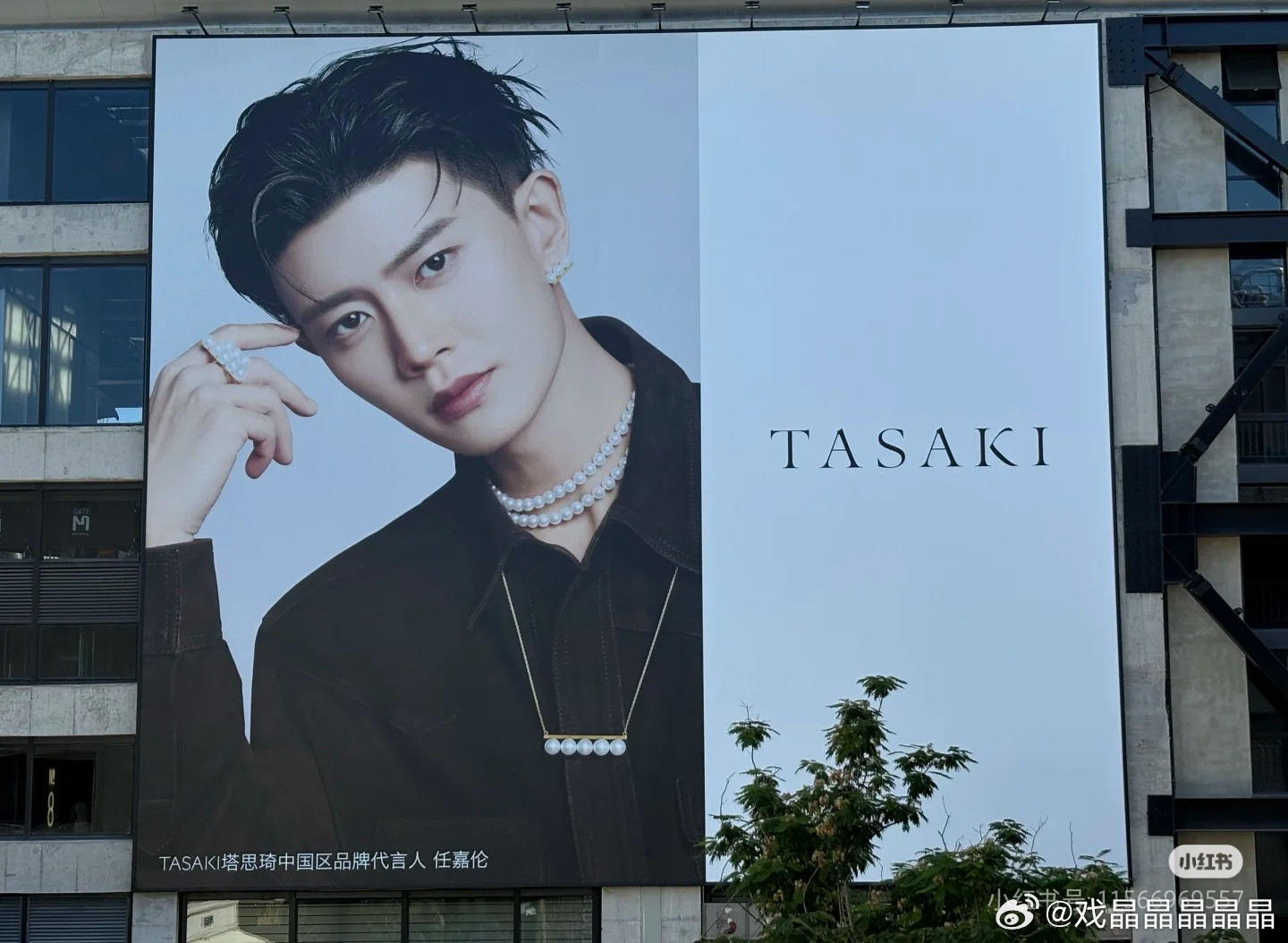 瓜🍉Tasaki任嘉伦八月前后升T​​​