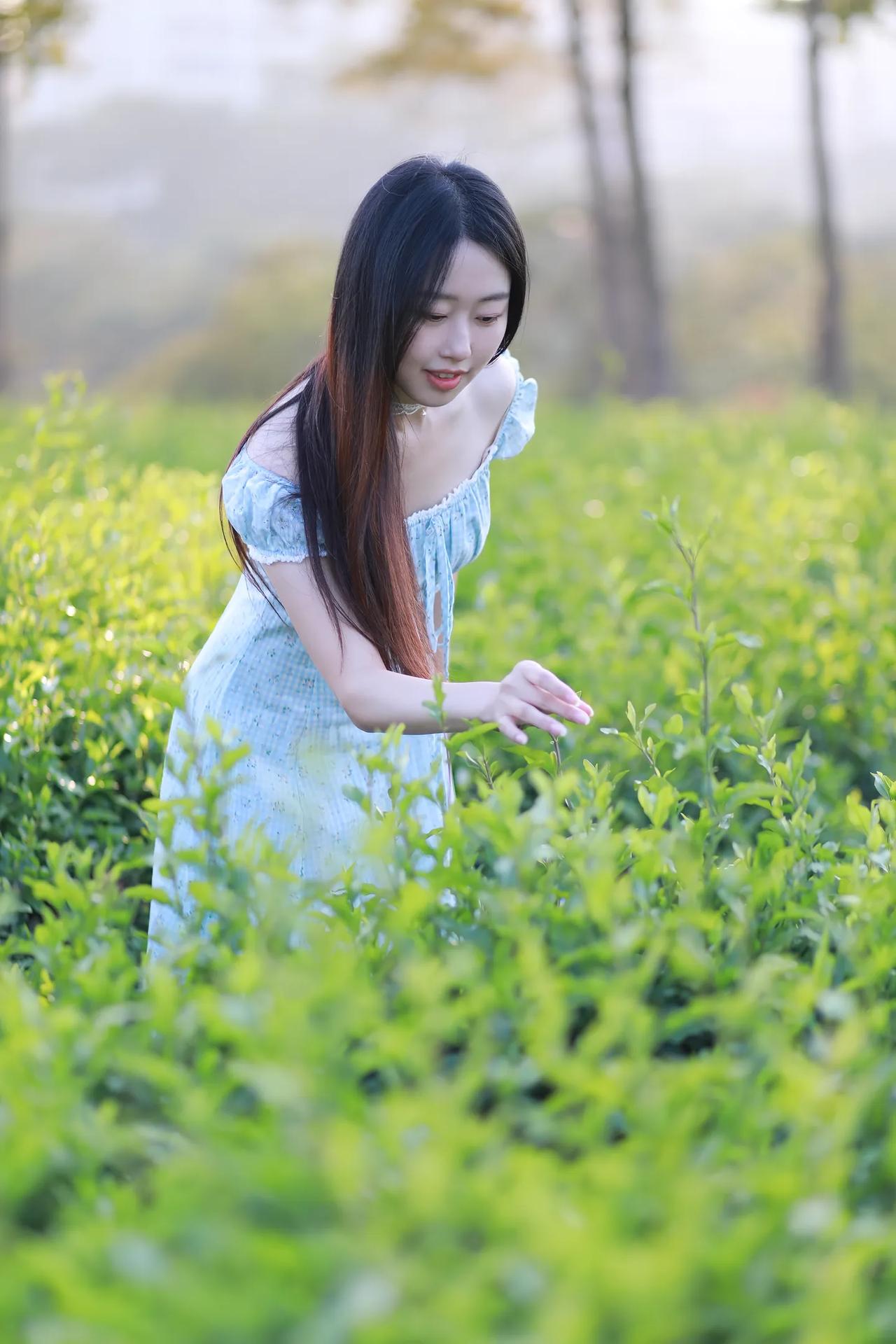 绿野仙踪里，轻抚芳草间。