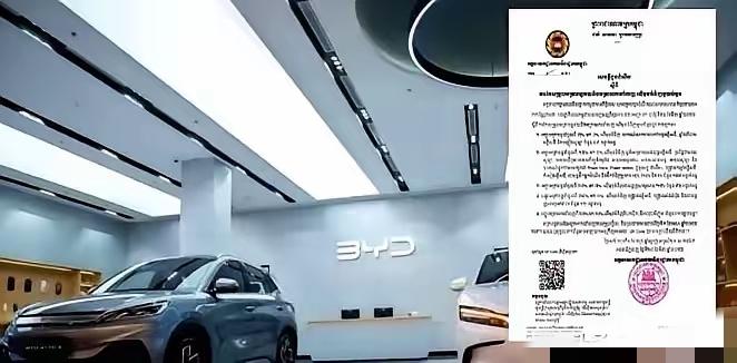 今天，东南亚突然掀牌。柬埔寨从4月1日起，把面向中国的纯电车、充电桩、太阳能整套