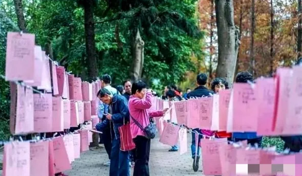 “一般的男人配不上我！”5月9日，浙江金华，42岁女子公园相亲时语出惊人：衣服非