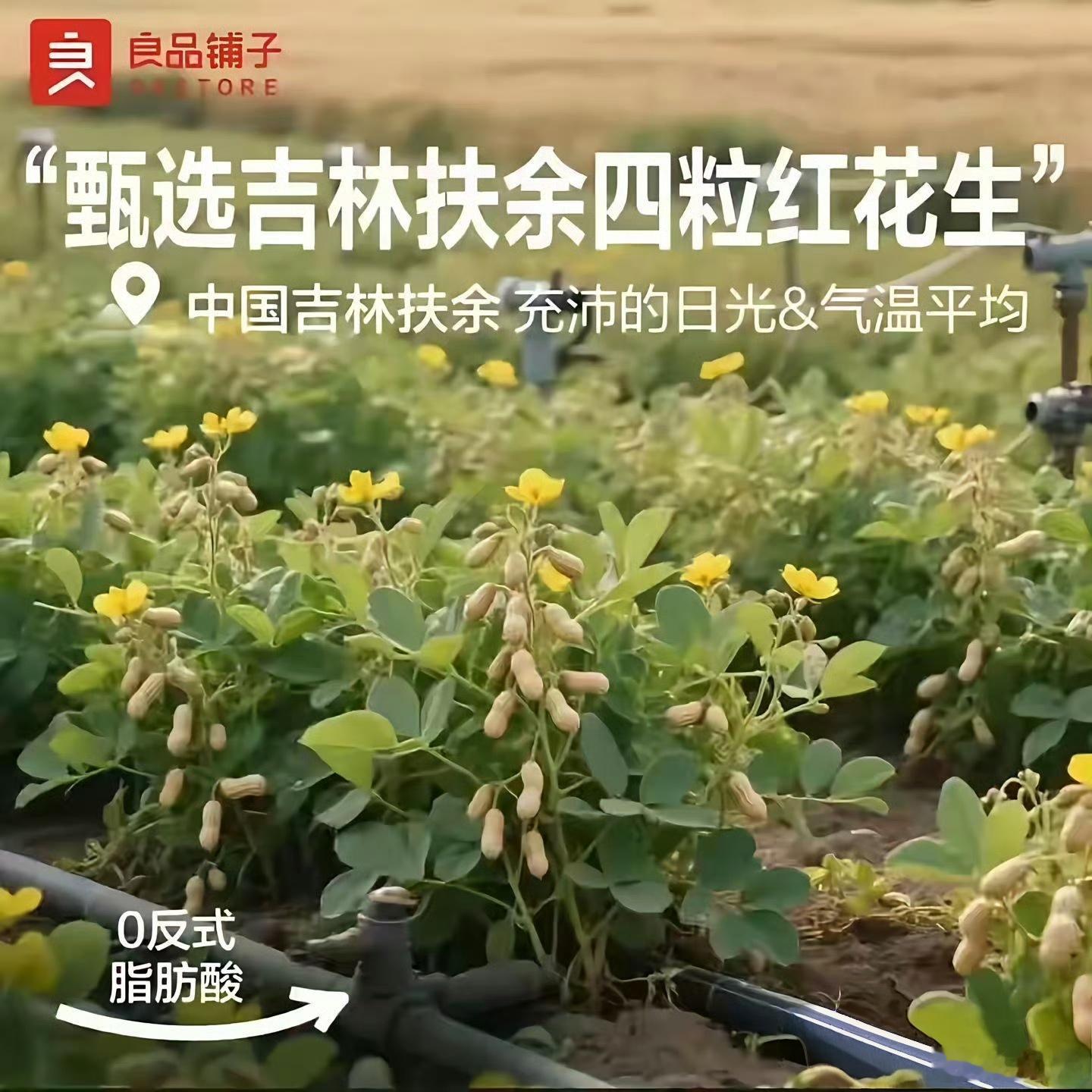 这么大一个公司，就没人发现有问题？​​​