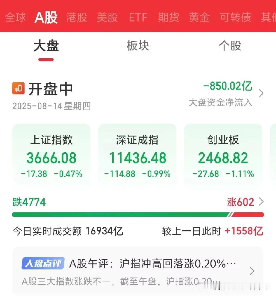 今天的股市绿油油，4000多个股票下跌，，明天怎么办？这段时间指数几乎天天涨