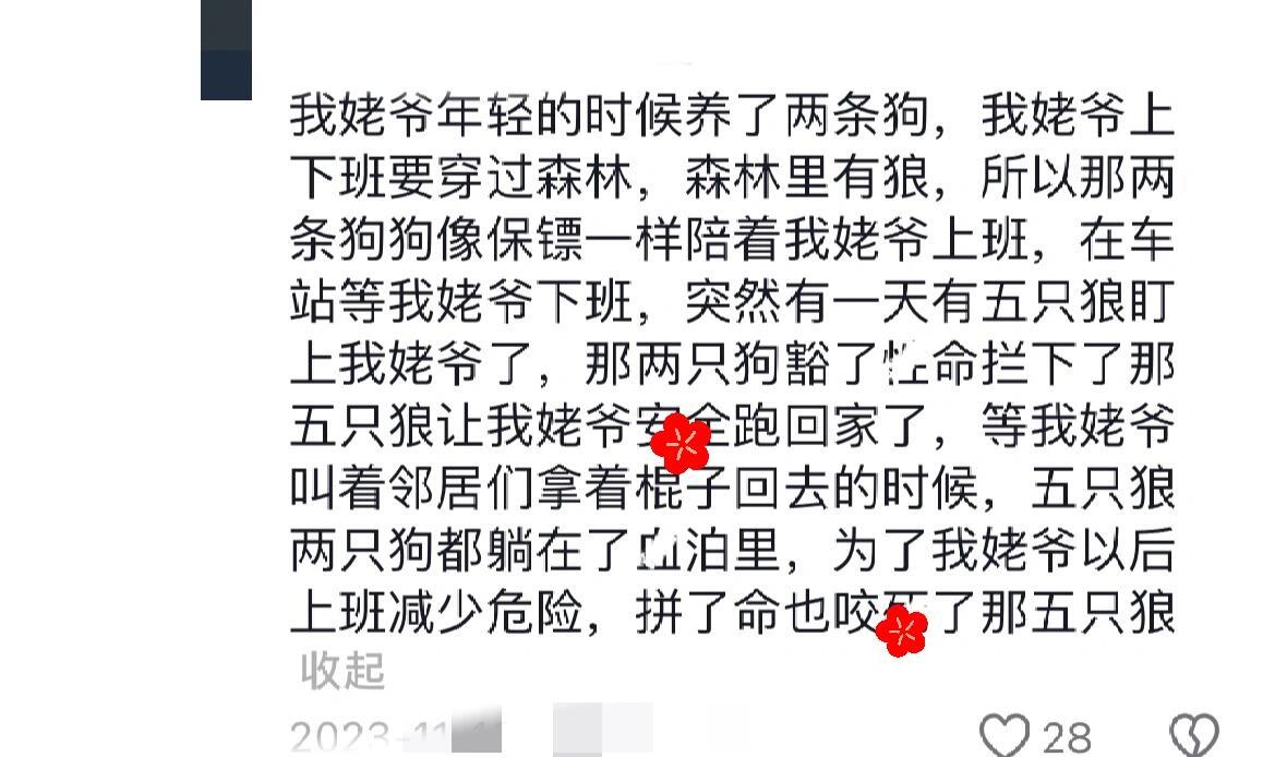 呜呜呜😭世界上真的不能没有狗狗😭