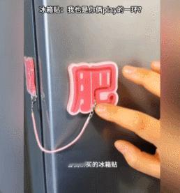 给冰箱上锁都拦不住你