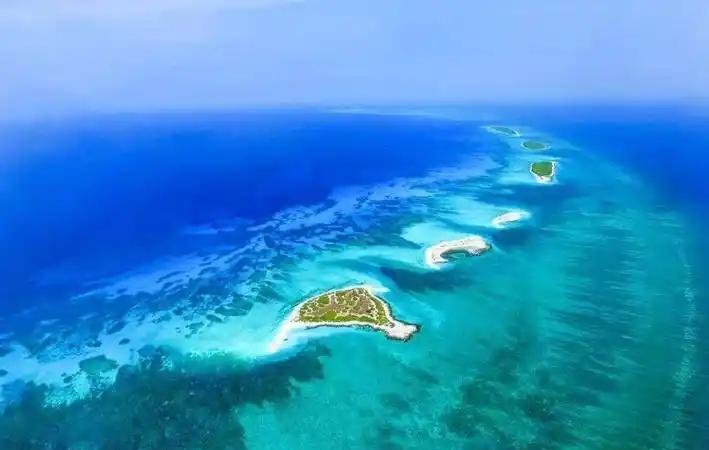 南海有这么多石油，为什么中国不开采？其实说白了，简单来说，越南已经在那里开采了，