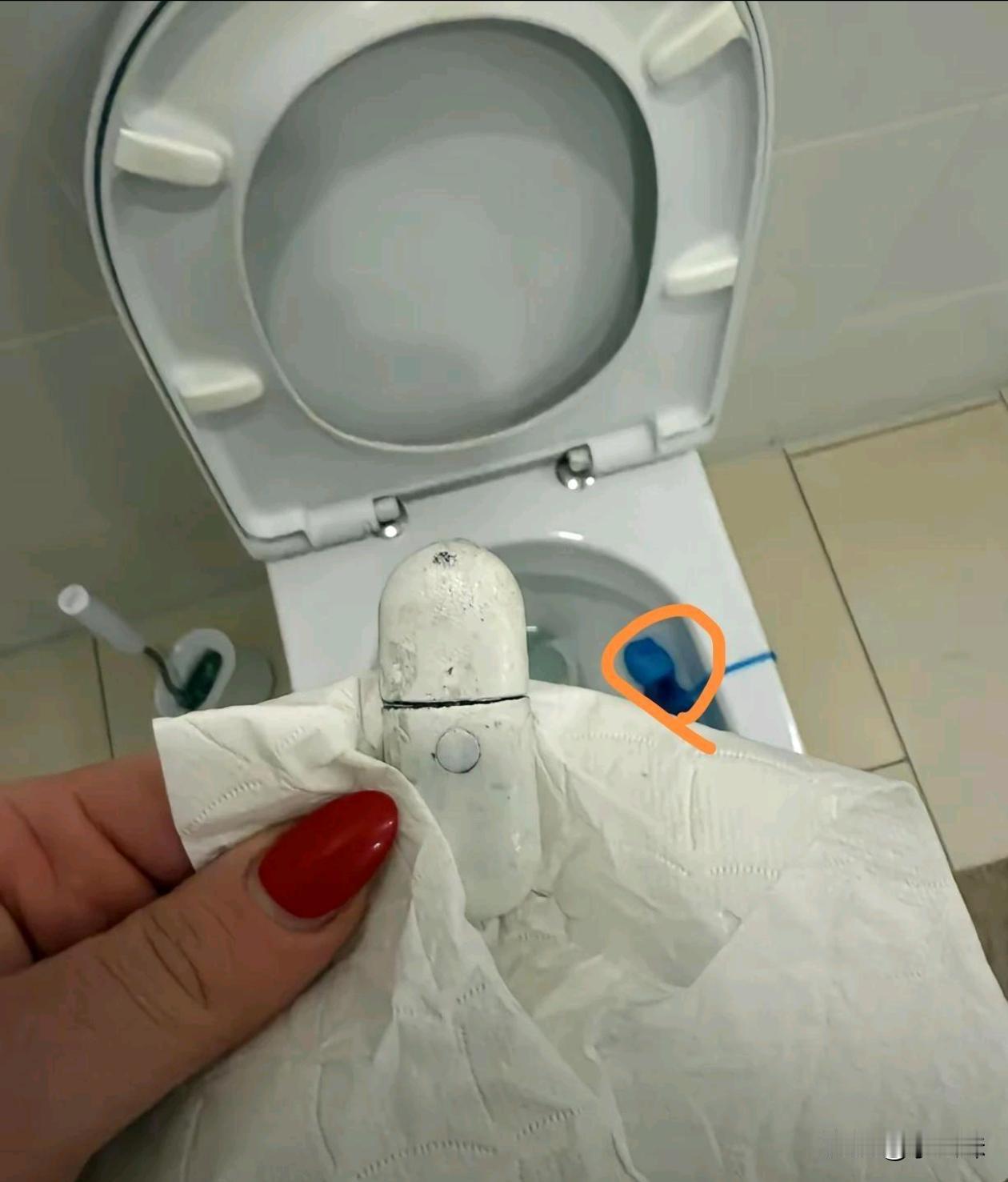 酒店的马桶内壁上发现的，谁能告诉我，这到底是什么？