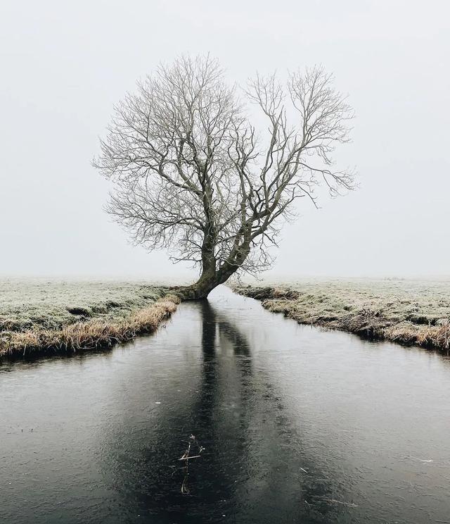阴雨天如何拍摄出干净简洁的照片？从清理画面开始，拍出安静又耐看的雨天影像阴雨