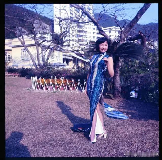 奇女子狄娜的传奇一生狄娜原名梁帼馨，1945年生于广东兴宁，2010年于香