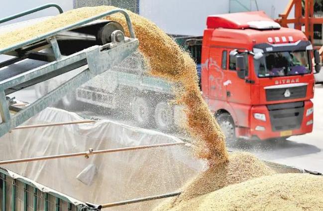 一旦全球停止出口粮食，中国能自给自足吗？说句扎心的，中国或许无法自给自足，但是主
