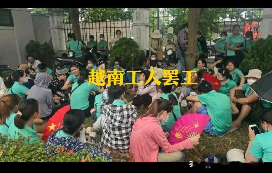 最近！越南工人纷纷愤然罢工！辛辛苦苦整日劳作，为何收入始终难以糊口？如今越南