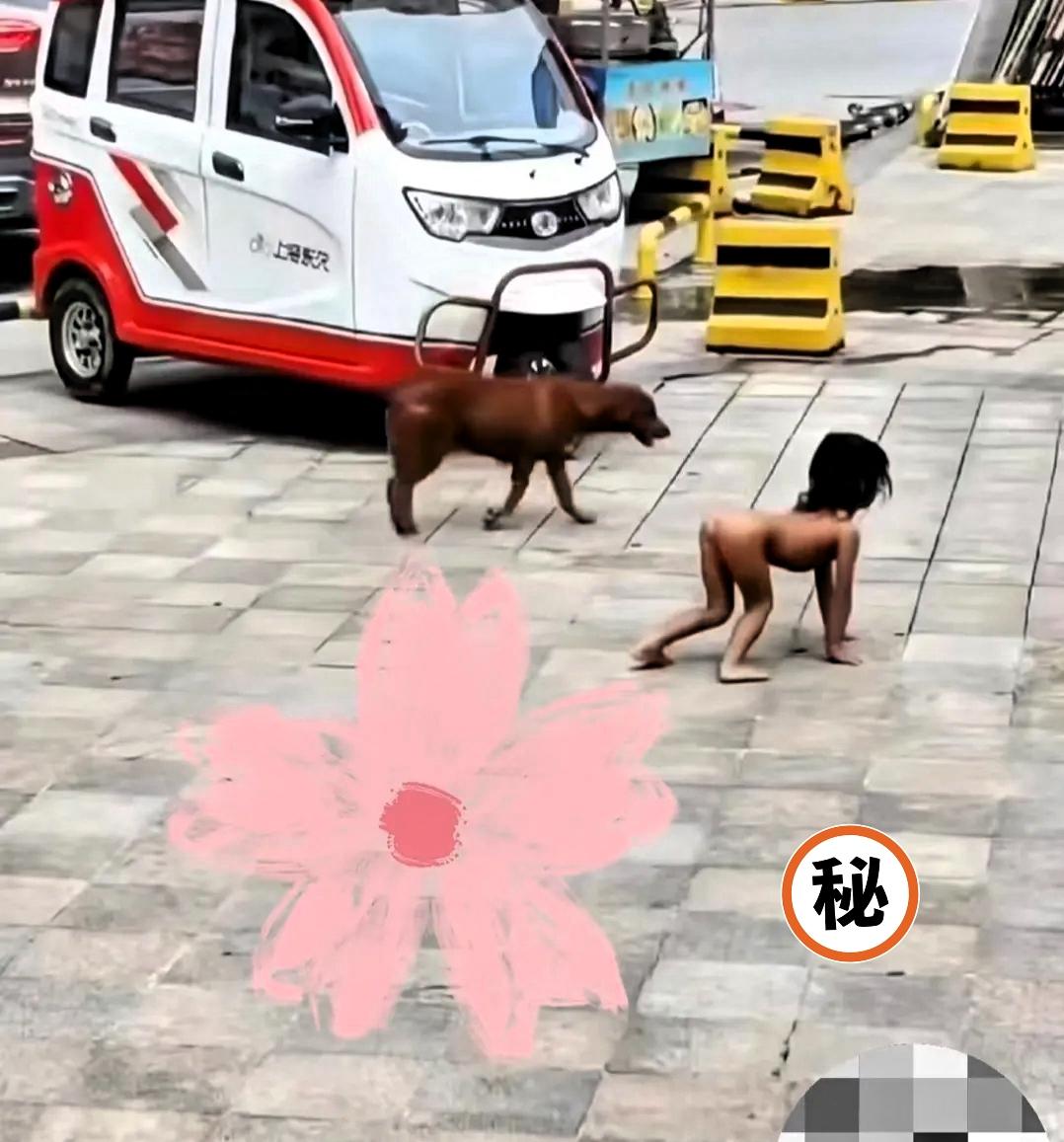 真的被那个“野人小孩”的视频惊到说不出话！3岁娃光着身子跟狗趴地抢食，四肢爬行时