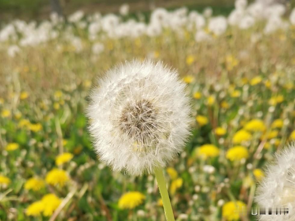 你知道吗？现在的婆婆打心底都“害怕”，背后的原因让人心酸。一、害怕掏心掏肺，