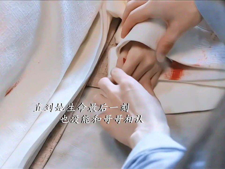 谢淮安误杀白莞《长安二十四计》别再刀我了！谢淮安不舍得相认送走的妹妹，转身就死