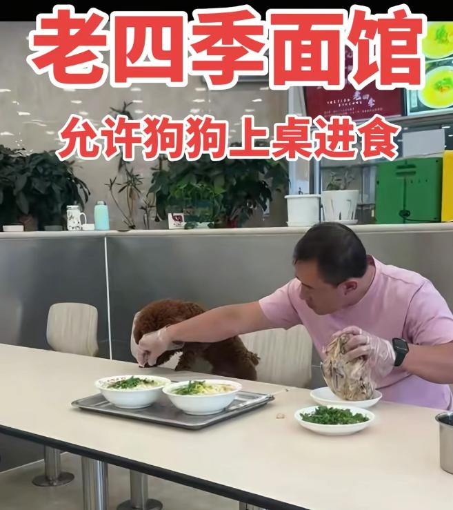 “狗进饭店”的风，终于刮到了沈阳。沈阳老四季面馆这下遭殃了，之前就有不少饭馆因为