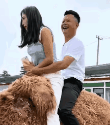 西安两人骑骆驼不慎摔落觉得这男的十分猥琐的表情，她们是情侣吗？感觉这女的十分