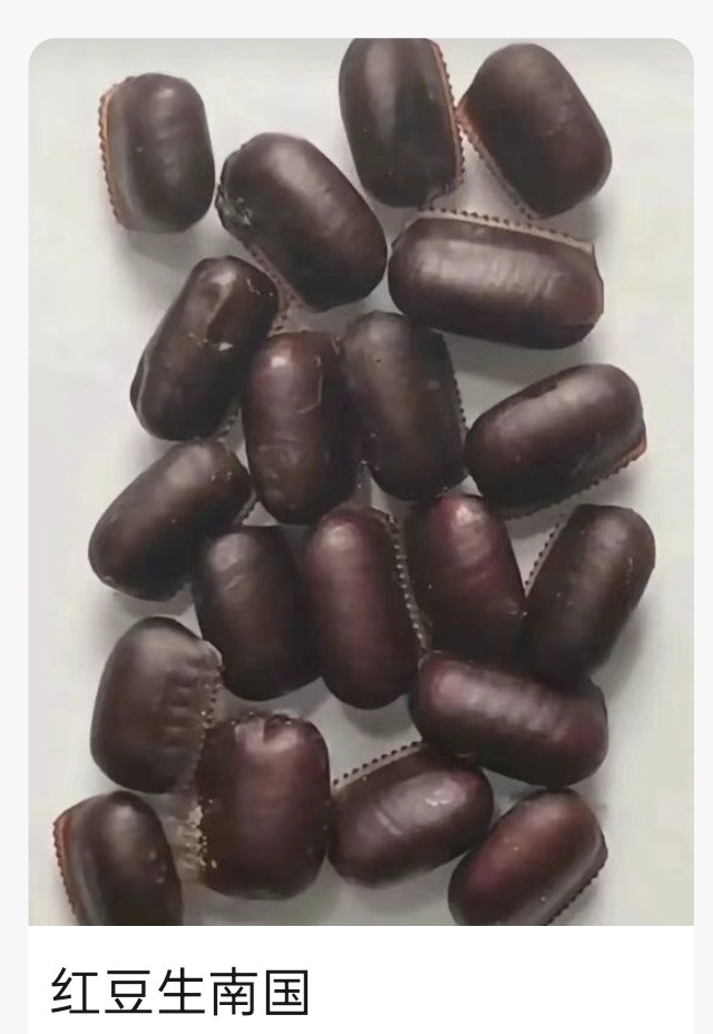 这是红豆吗？我还以为是咖啡豆呢