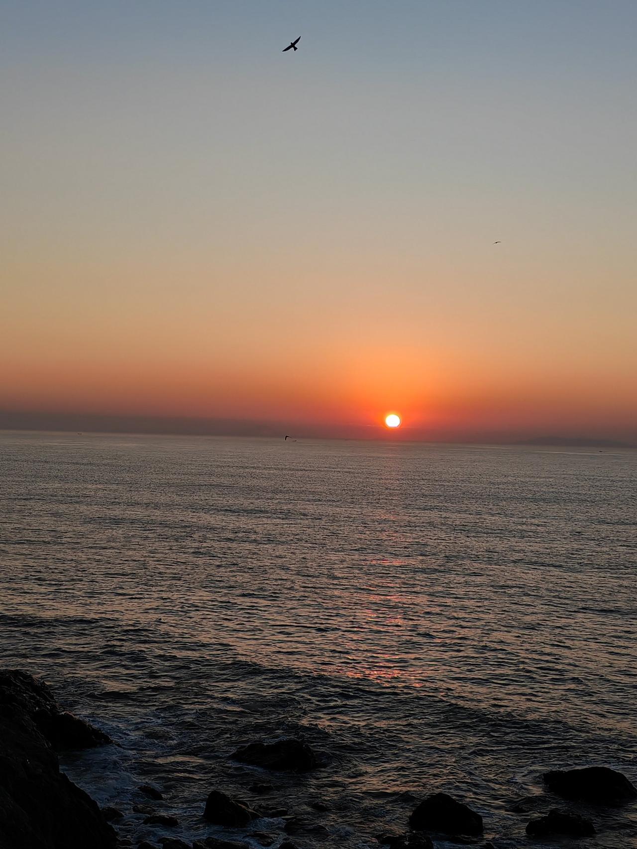 我知道你累了，身心俱疲，双腿像灌了铅。每一步都沉重无比，仿佛要把整个人生都