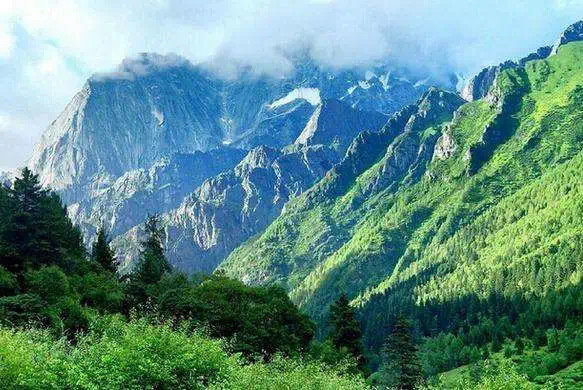 夏季的四川四姑娘山，有着"一日见四季"的名景色；白雪皑皑的同时，山花又盛开着。