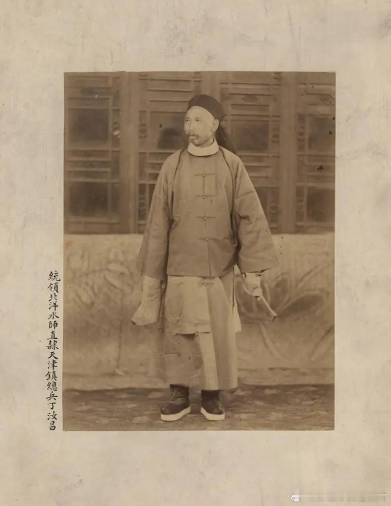 丁汝昌出生于安徽庐江，家境贫寒，十岁时因水灾辍学，先后从事放鸭、摆渡、做豆腐等工