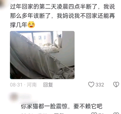 你家猫都一脸震惊，要不赖它吧