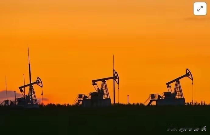 中国炼厂买不到委内瑞拉原油，开始纷纷转向加拿大，白宫这下彻底傻眼了！白宫是真