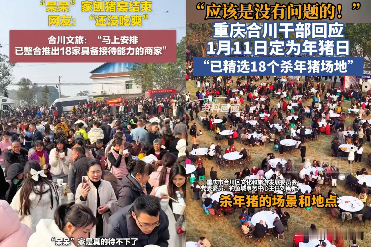 合川文旅现在真是骑虎难下了接了呆呆的直播刨猪汤说要一直办到正月十五，结果