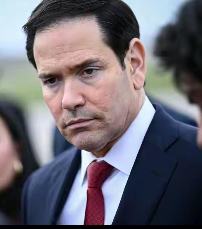 美国国务卿称将重新审视与北约关系当地时间3月31日，美国国务卿鲁比奥公开表态