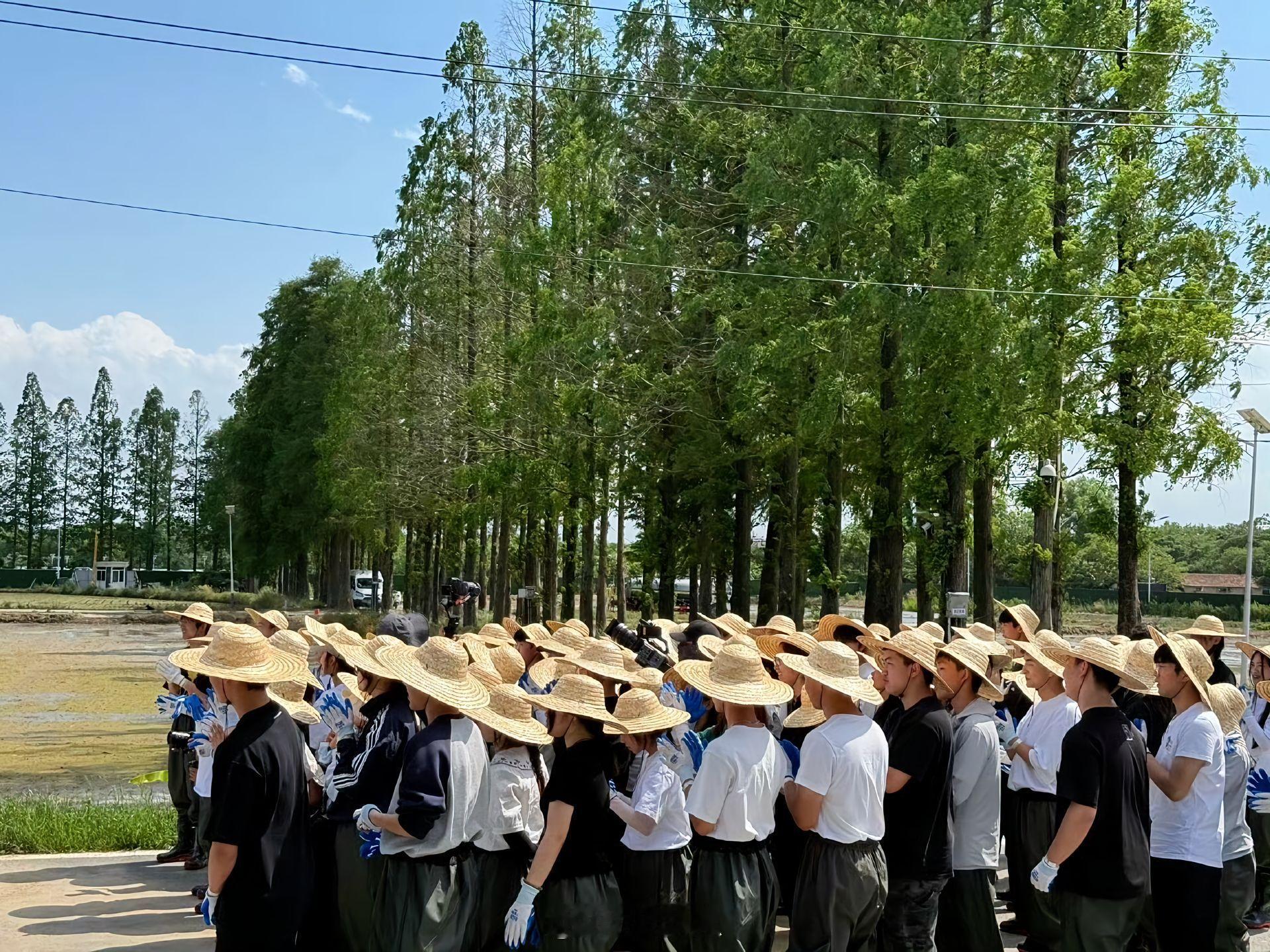 十个勤天从来没有哪个劳动节这么想干活[裂开]全给你们晒黑，晒成黑蛋[挤眼