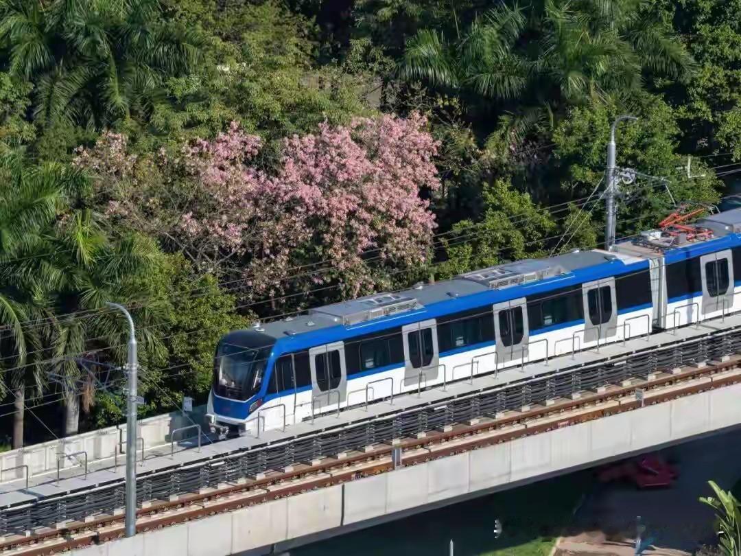 佛山3号线中山公园到联和肠梗阻路段终于通车，广佛地铁网终于实现无缝衔接记得我