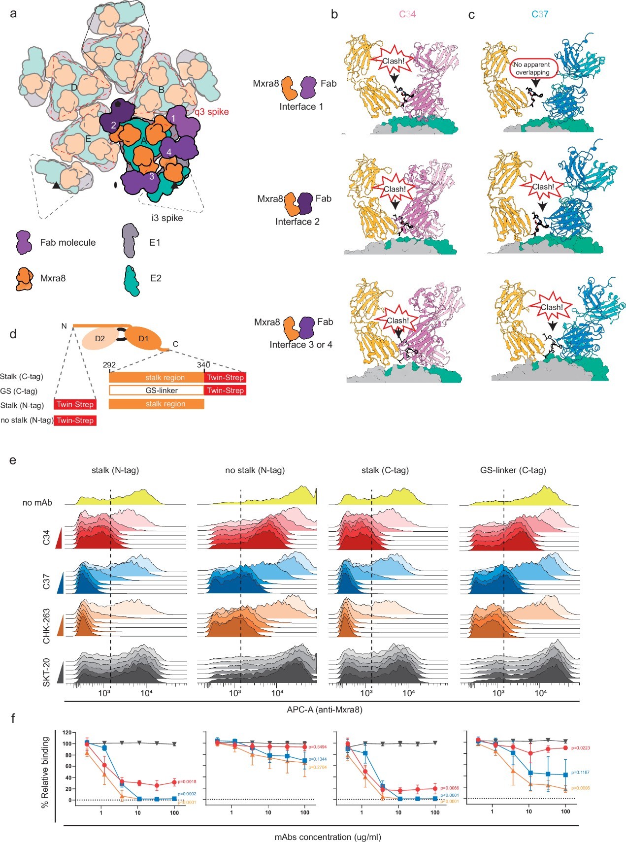 【抗基孔肯雅病毒中和抗体及作用机制研究获进展】基孔肯雅热归类于披膜病毒科甲病毒属