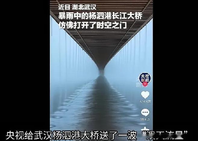 吃相真难看！武汉杨泗港大桥因为一段“暴雨中的时空之门”视频爆火泼天的流量才起