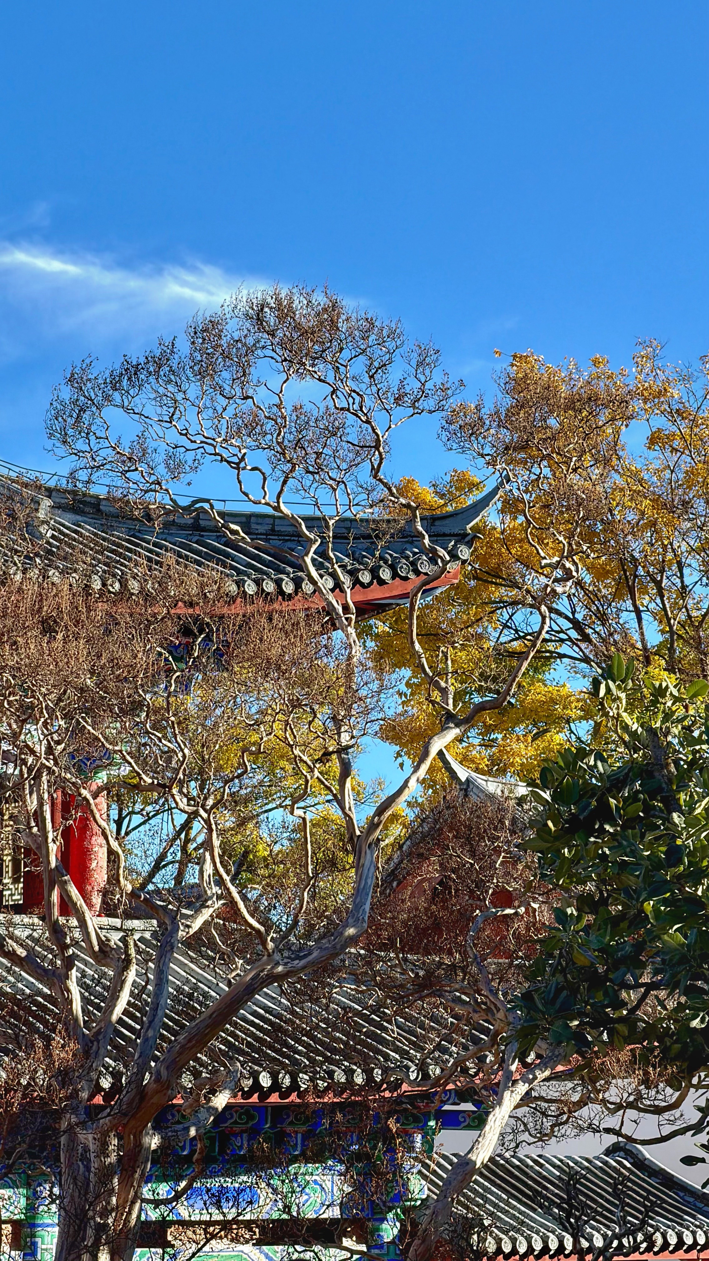 我是一个在云南做纯玩旅游14年的90后，就在大理洱海和丽江古城开了两家客栈那个。