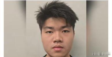 这个马来西亚华裔小伙应该是最倒霉的电诈分子之一，主动投身电诈阵营，试工三天毫无业