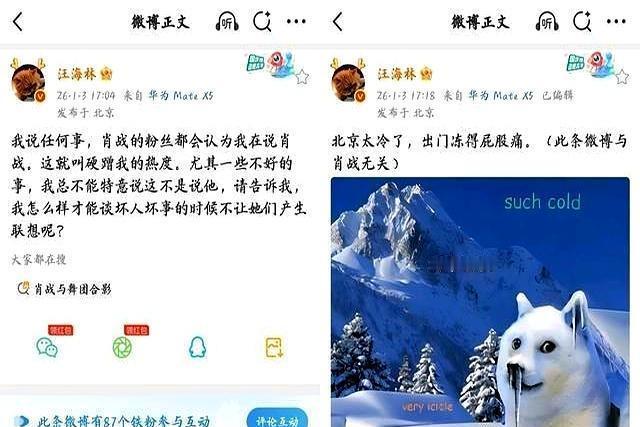 收视冠军的庆功酒还没喝，封杀令先到了。央视黄金档数据刚爆，编剧汪海林就跳出来喊