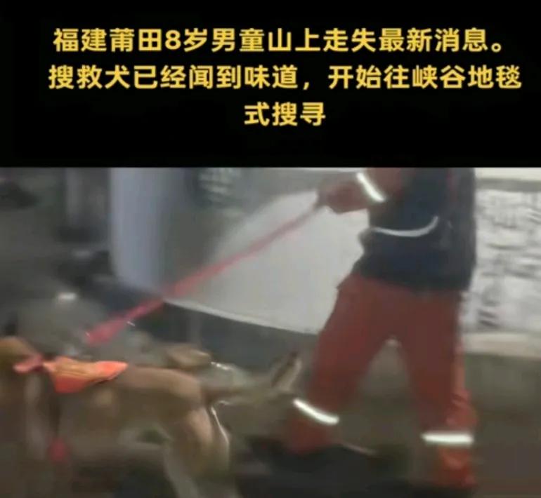 搜救犬已经闻到气味，他们说怕重复搜救，有的地方搜救过了就拉线，省得重复检查了开